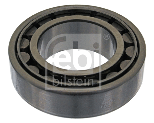 Wheel Bearing (04843)