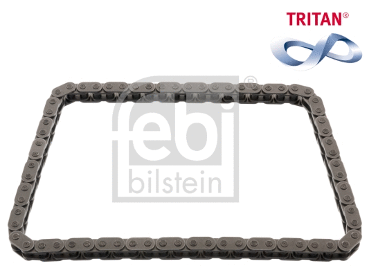 Timing Chain (49519)