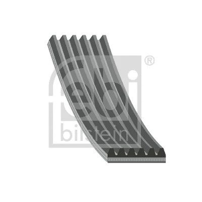 V-Ribbed Belt (181287)
