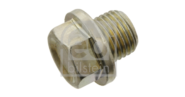 Screw Plug, oil sump (30180)