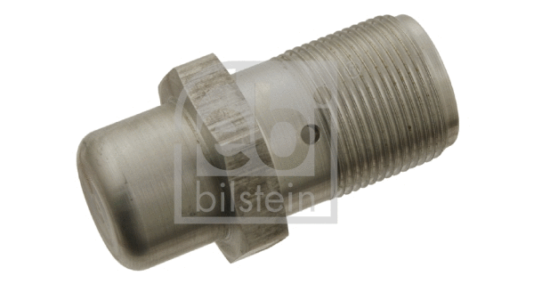 Tensioner, timing chain (30417)