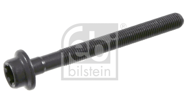 Cylinder Head Bolt (15699)