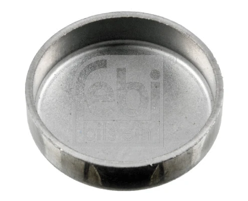 Frost Plug