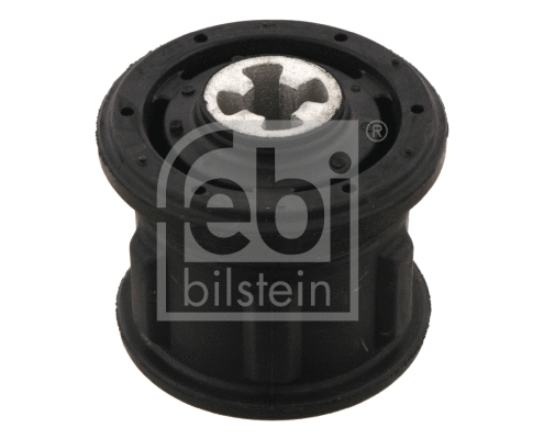 Bushing, axle beam (09816)