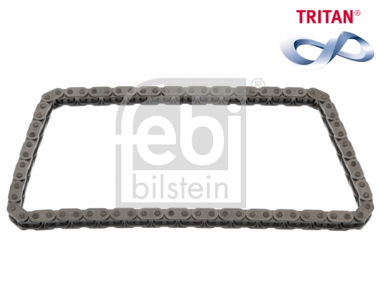 Timing Chain (49531)
