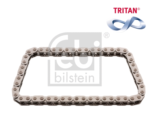 Timing Chain (109243)