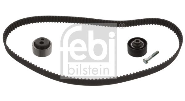 Timing Belt Kit (11174)