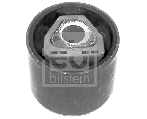 Mounting, control/trailing arm (06043)