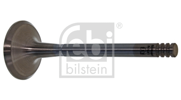 Exhaust Valve (34531)
