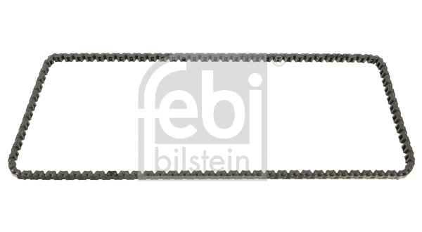 Timing Chain (49764)