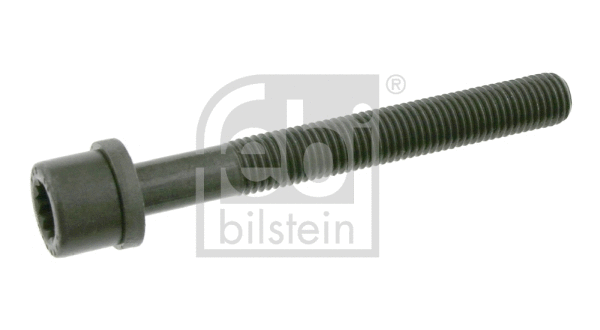 Cylinder Head Bolt (06666)