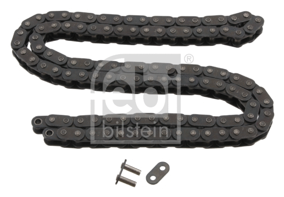 Timing Chain (28429)