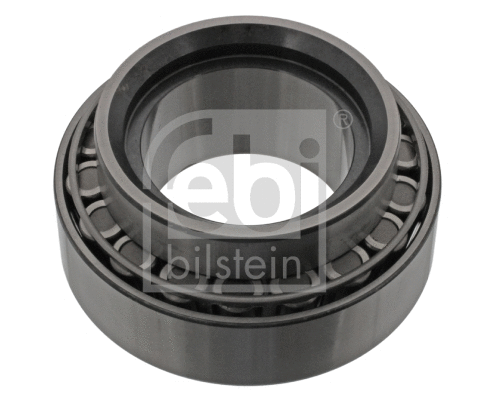 Wheel Bearing (18106)