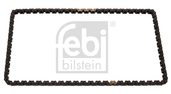 Timing Chain (49721)