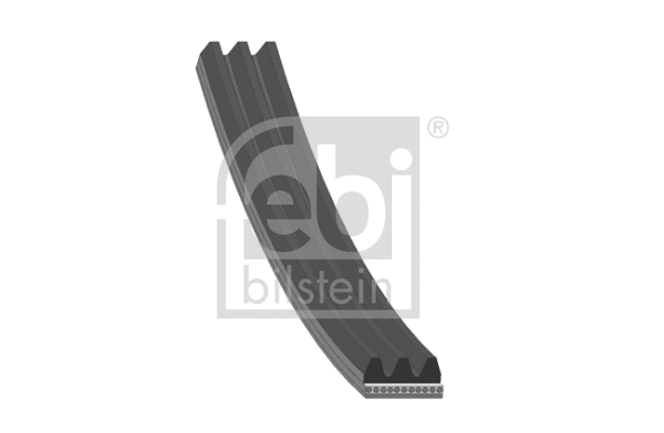 V-Ribbed Belt (28746)