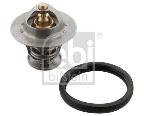 Thermostat, coolant (106104)