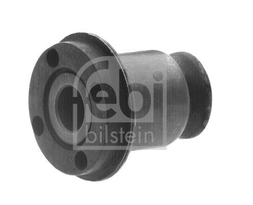 Mounting, control/trailing arm (10290)
