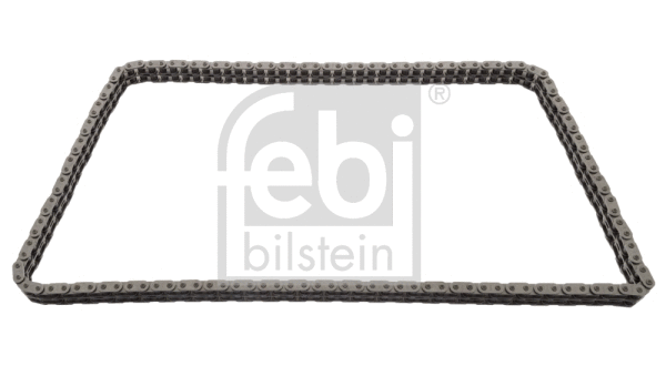 Timing Chain (25372)
