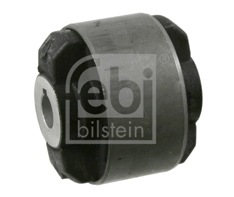 Mounting, control/trailing arm (09387)