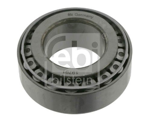 Wheel Bearing (19791)