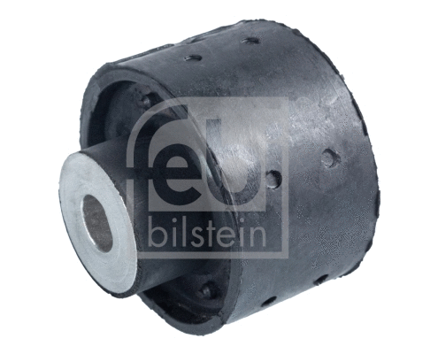 Bushing, axle beam (12629)