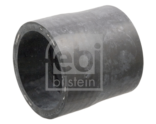 Radiator Hose (14029)