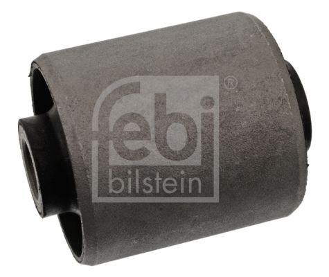 Bushing, axle beam (12368)