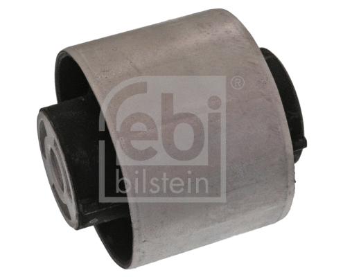 Bushing, axle beam (48728)