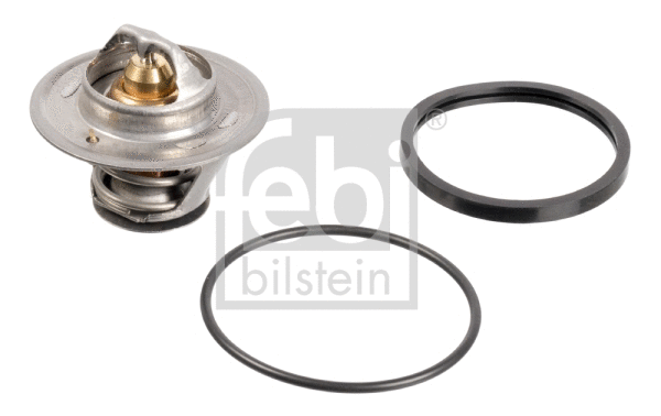 Thermostat, coolant (17350)