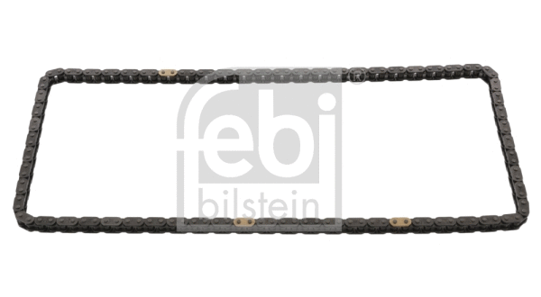 Timing Chain (31006)