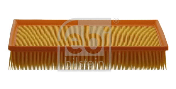 Air Filter (31307)