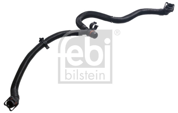 Hose, crankcase ventilation