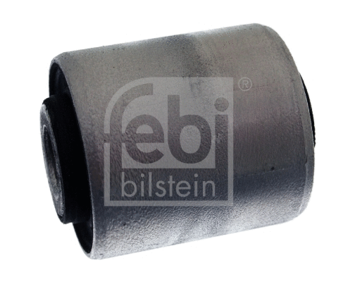 Mounting, control/trailing arm (10018)