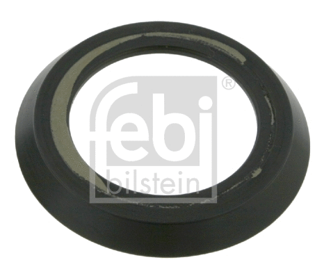 Seal Ring, steering knuckle