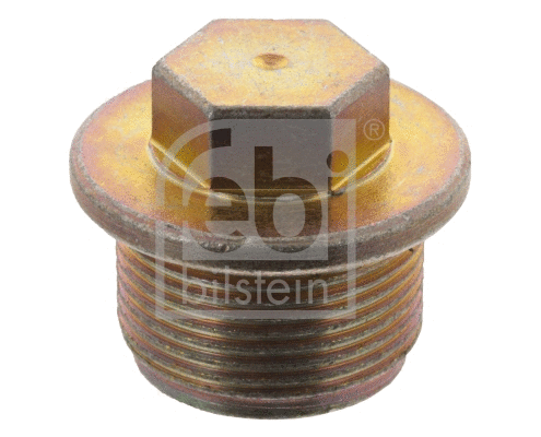 Screw Plug, oil sump (48898)