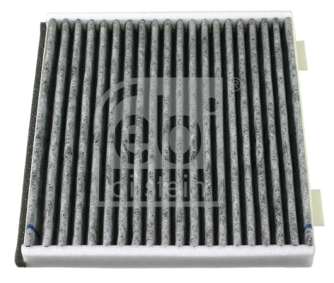 Filter, cabin air (21289)