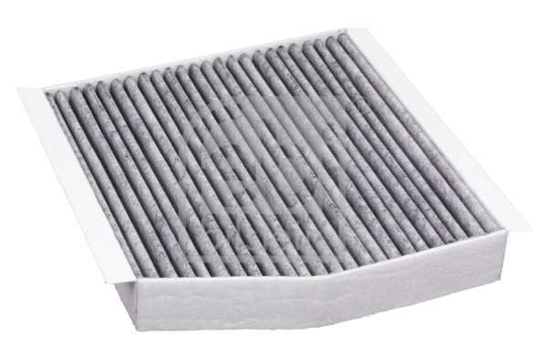 Filter, cabin air (40422)