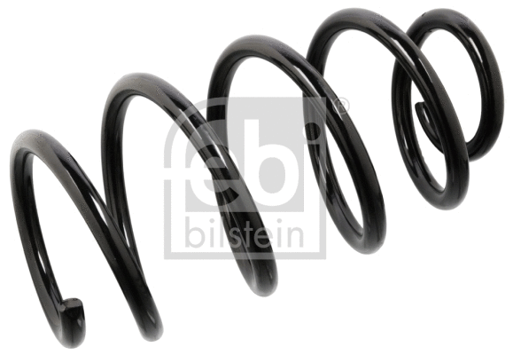 Suspension Spring (104745)