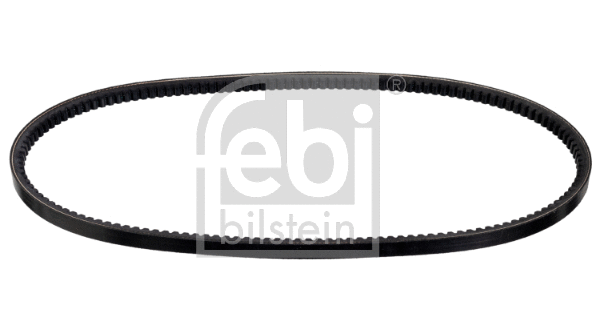V-Belt (177132)