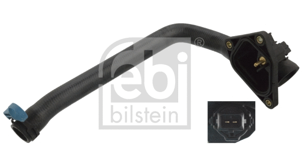 Radiator Hose (104270)