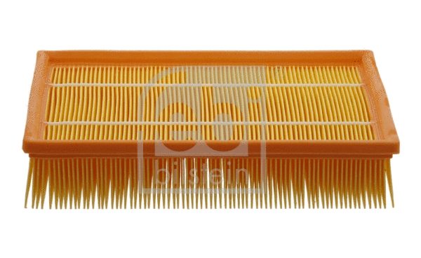 Air Filter (31152)