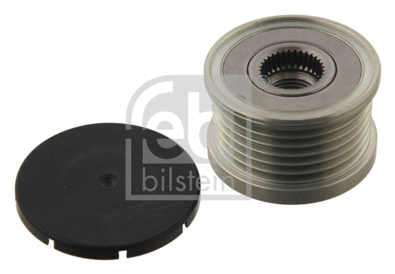 Alternator Freewheel Clutch (31729)