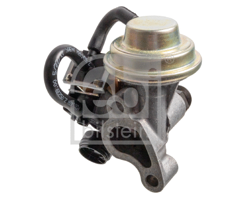 EGR Valve