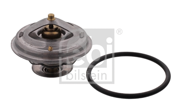 Thermostat, coolant (18270)