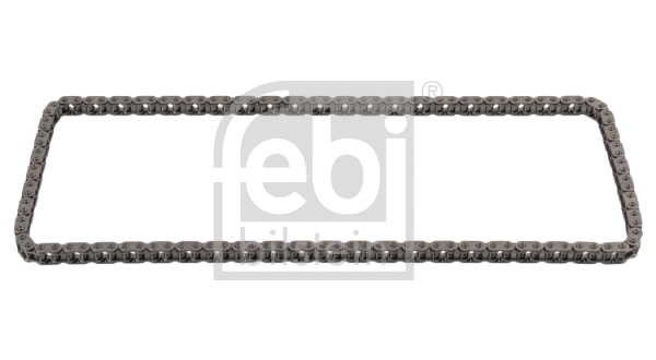 Timing Chain (176046)