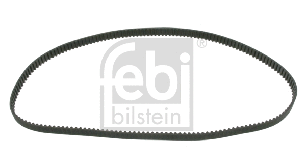 Timing Belt (12976)