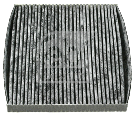 Filter, cabin air (21361)