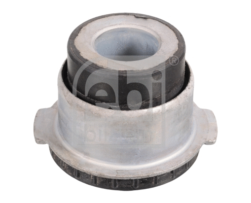 Bushing, axle beam (103230)