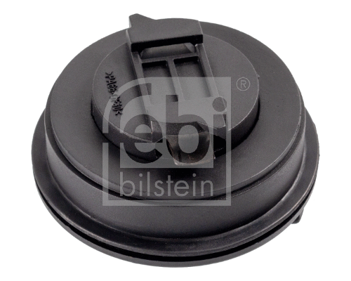 Sealing Cap, oil filler neck