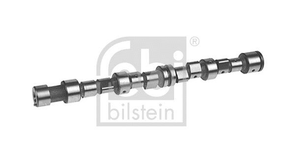 Camshaft (18811)